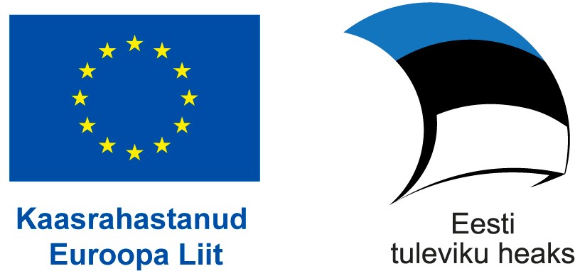 Euroopa Kaasrahastus: Euroopa liidu ja Eesti lipp