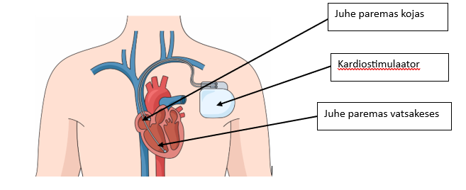 A diagram of a human body</p>
<p>Description automatically generated